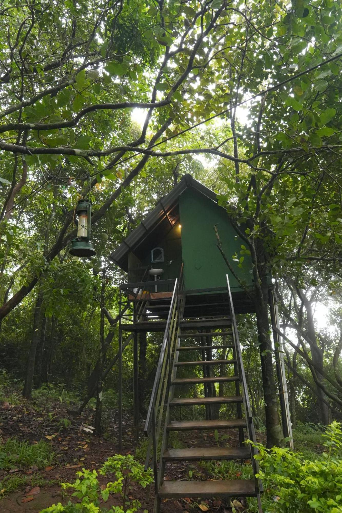 Regina Silva Camping & Nature Resort Paithalmala Eksteriør billede